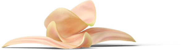 flower-1.png