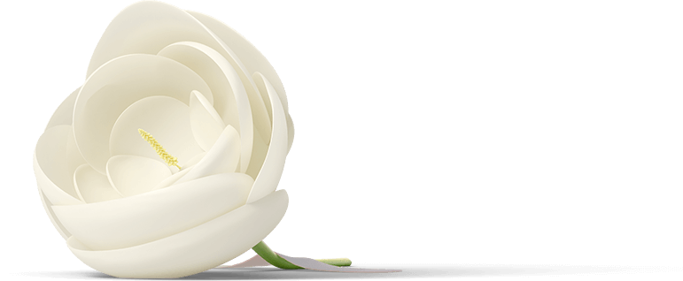 flower-2.png